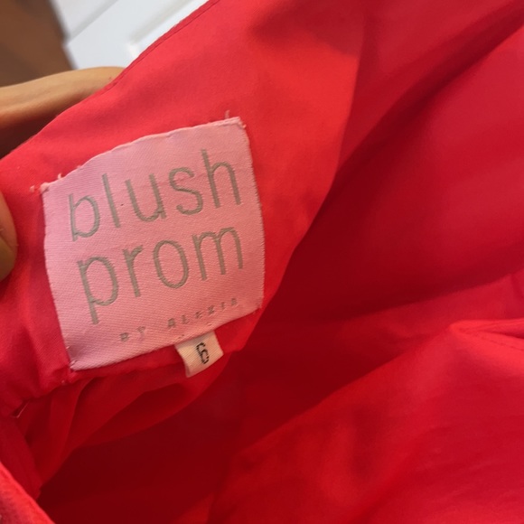 Short Hot Pink Blush Prom Dress - Picture 6 of 6